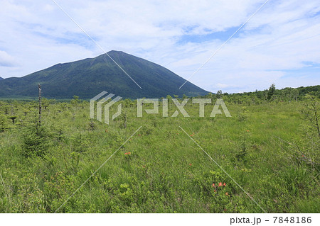戦場ヶ原からの男体山 7848186