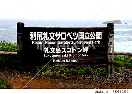 利尻礼文サロベツ国立公園　礼文島　スコトン岬　 7848192