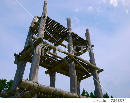 三内丸山遺跡 7848374