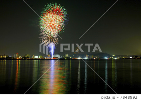 花火 7848992