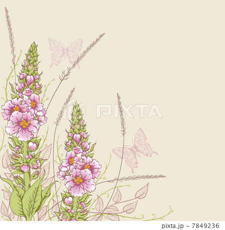 Summer floral background 7849236