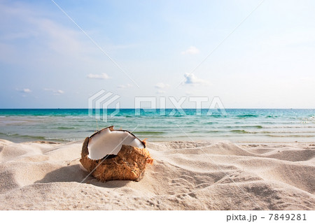 Fresh coconut on sand beach Fresh coconut on sand beach 7849281