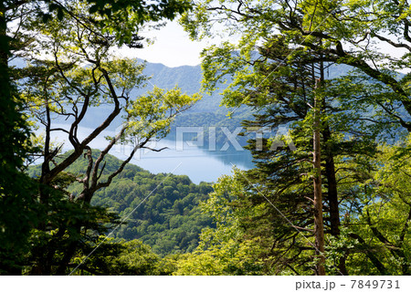 中禅寺湖(遠景) 中禅寺湖(遠景) 7849731