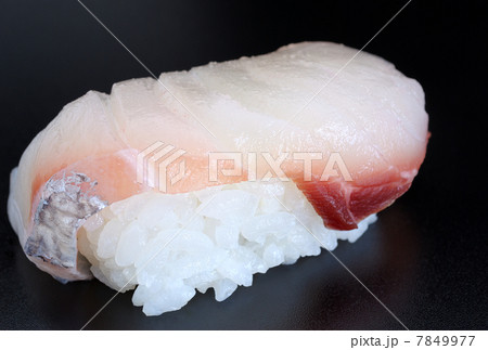 sushi 7849977