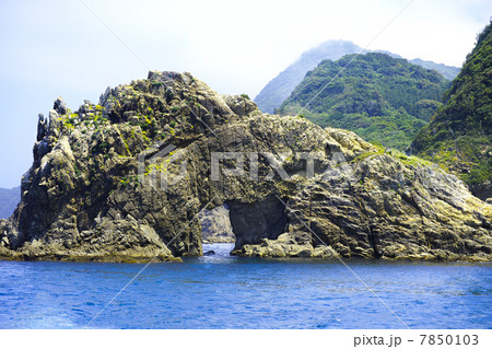 青海島 花津浦 青海島 花津浦 7850103