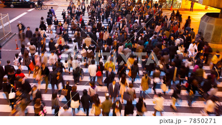 スクランブル交差点 スクランブル交差点 7850271