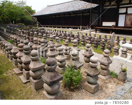 奈良　世界遺産　元興寺　浮図田 7850280