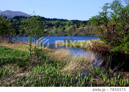 利尻礼文サロベツ国立公園　利尻島　姫沼 7850373