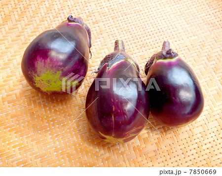 水なす　 7850669