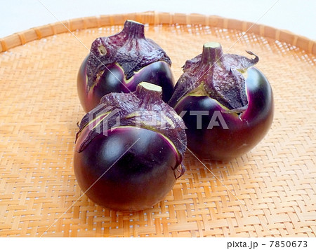 賀茂なす　 7850673