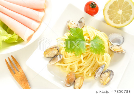 ボンゴレ ボンゴレ 7850783