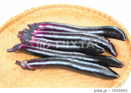 長なす 長なす 7850802