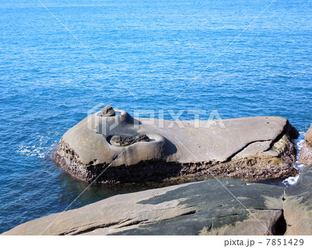 野柳風景特定区　燭台岩2 7851429