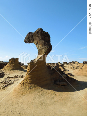 野柳風景特定区　女王頭 7851430