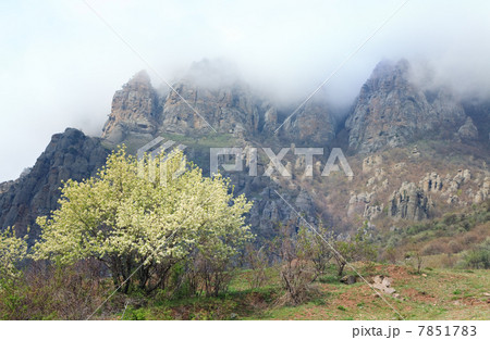 Misty rocky mountain Misty rocky mountain 7851783
