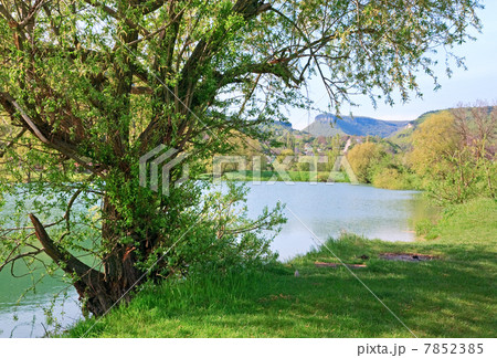 beautiful spring lake beautiful spring lake 7852385