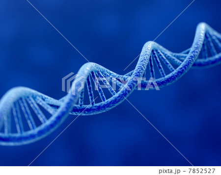 Blue DNA 7852527