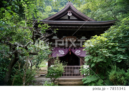 北鎌倉　円覚寺　黄梅院 ・ 観音堂　（ 神奈川県 鎌倉市 山ノ内 ） 7855341