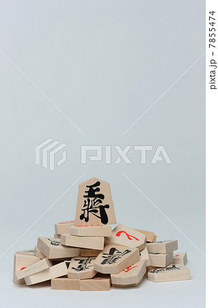 将棋の駒 将棋の駒 7855474