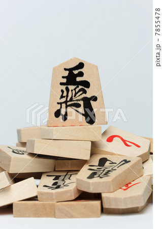 将棋の駒 7855478