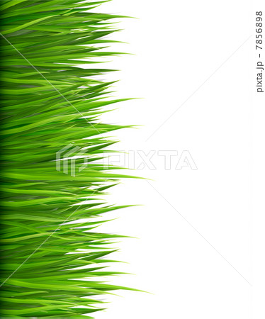Nature background with green grass. Vector. 7856898