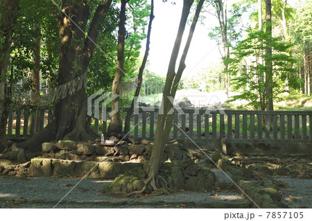 山宮浅間神社　遙拝所 7857105