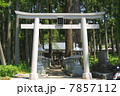 山宮浅間神社　鳥居 7857112