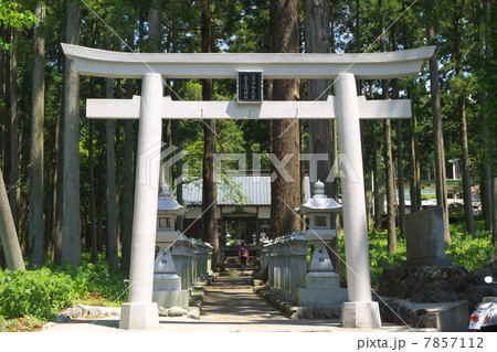 山宮浅間神社 鳥居 山宮浅間神社 鳥居 7857112