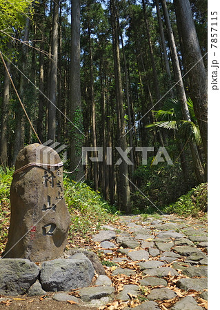 村山口登山道 7857115