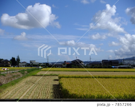 秋の田園風景 秋の田園風景 7857266
