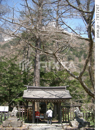 上高地の穂高神社奥宮(長野県松本市) 上高地の穂高神社奥宮(長野県松本市) 7857267