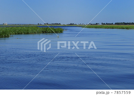 88100　チョベ川　チョベ国立公園 7857559