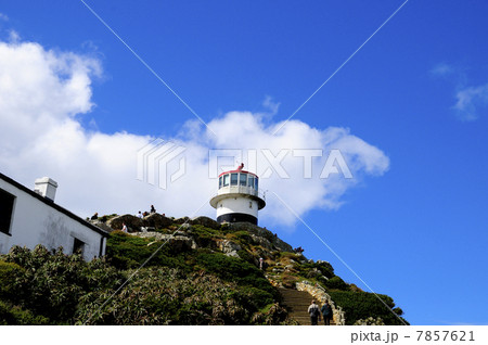 88146 ケープタウン ケープポイント 88146 ケープタウン ケープポイント 7857621