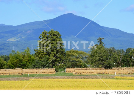 稲掛けのある風景 7859082