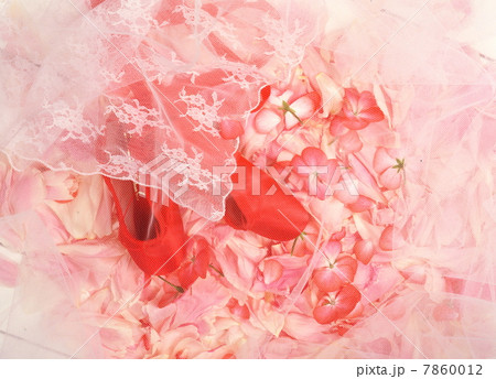 赤いトゥーシューズ 7860012