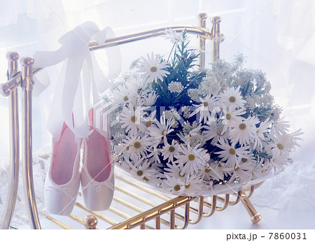 花イメージ　白色系 7860031