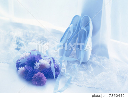 バレエシューズ 7860452