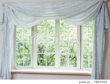 緑が見える出窓 7860469