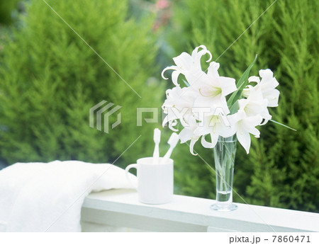 花のある生活 7860471