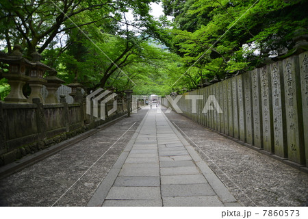 今も昔も金刀比羅詣で 海上交通の守り神 今も昔も金刀比羅詣で 海上交通の守り神 7860573