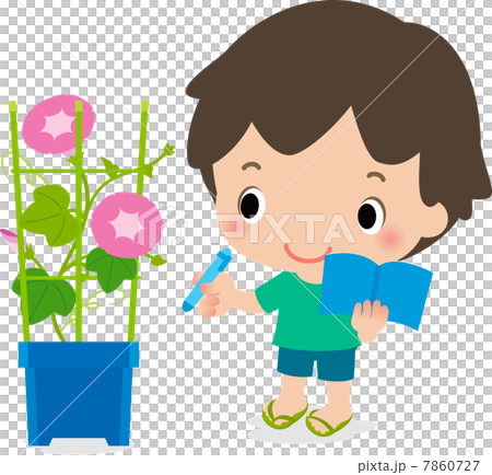 觀察牽牛花的男孩 7860727