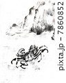 蟹 蟹 7860852