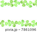クローバー 7861096