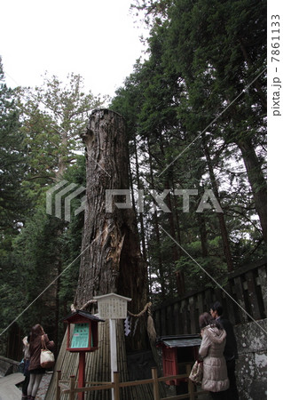 東照宮の奥宮 東照宮の奥宮 7861133