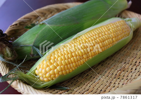 とうもろこし（サニーショコラ） 7861317