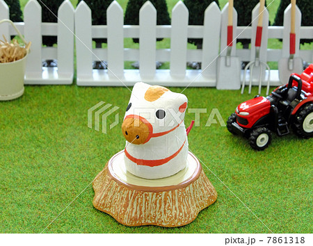 切株と小馬 7861318