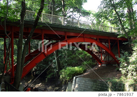 等々力渓谷・ゴルフ橋 7861937