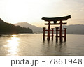宮島 7861948