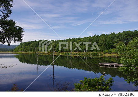 夏の女神湖 7862290