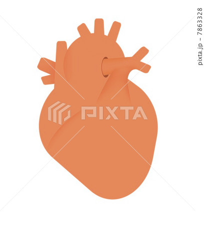 人の心臓 7863328